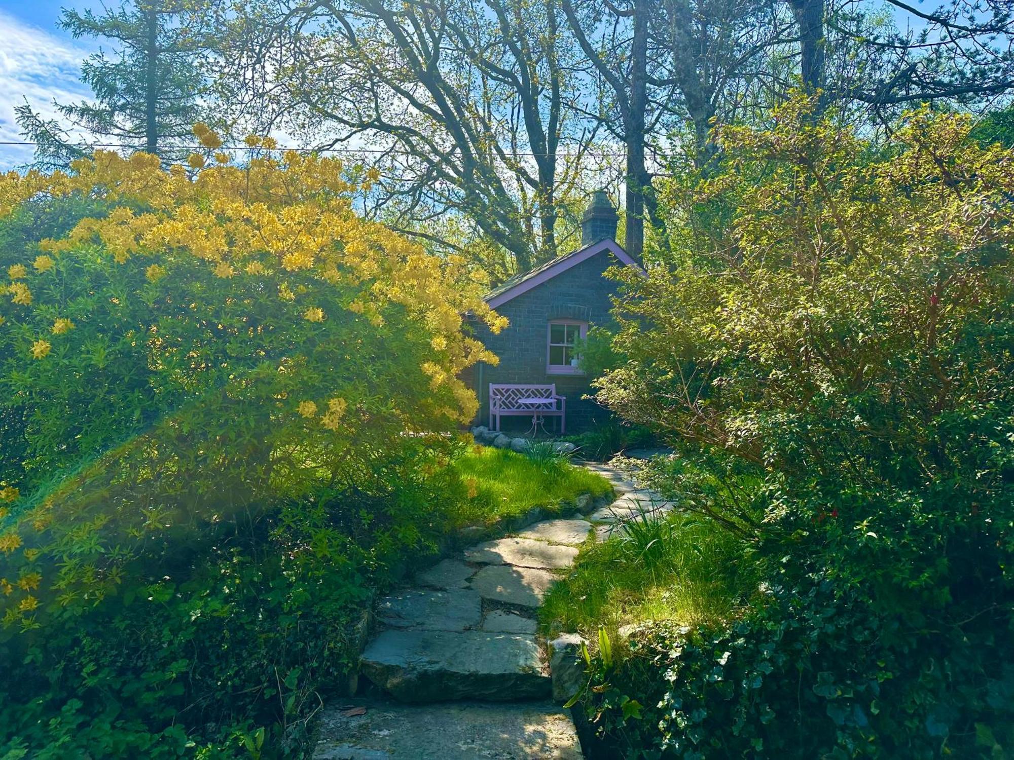 Tiny Romantic Retreat With Hot Tub On A Country Estate Near Cardigan Bay In Eryri Snowdonia Llanbedr  Exterior foto